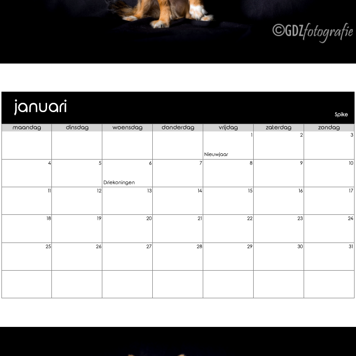 screenshot van een kalender